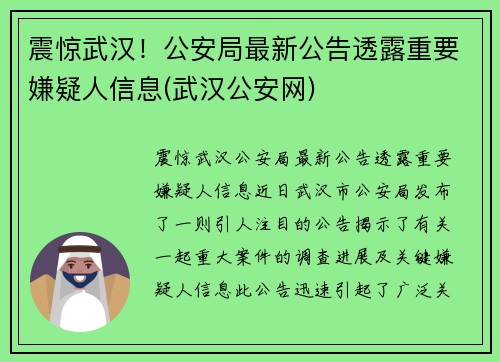 震惊武汉！公安局最新公告透露重要嫌疑人信息(武汉公安网)