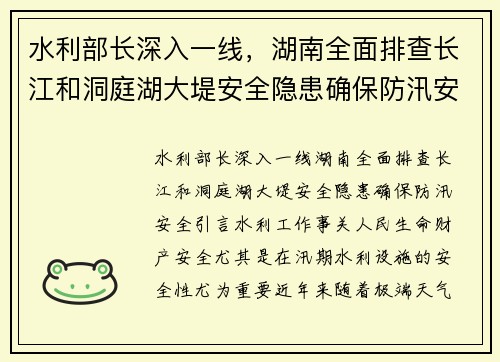 水利部长深入一线，湖南全面排查长江和洞庭湖大堤安全隐患确保防汛安全