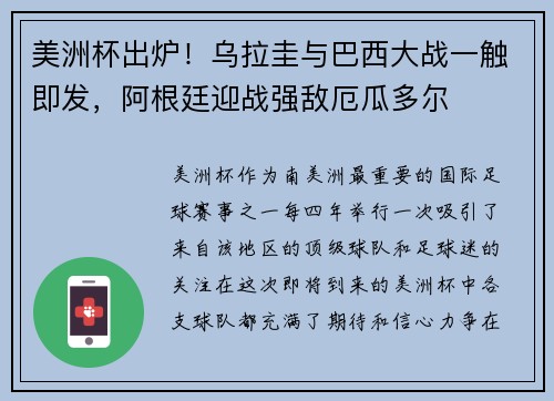 美洲杯出炉！乌拉圭与巴西大战一触即发，阿根廷迎战强敌厄瓜多尔